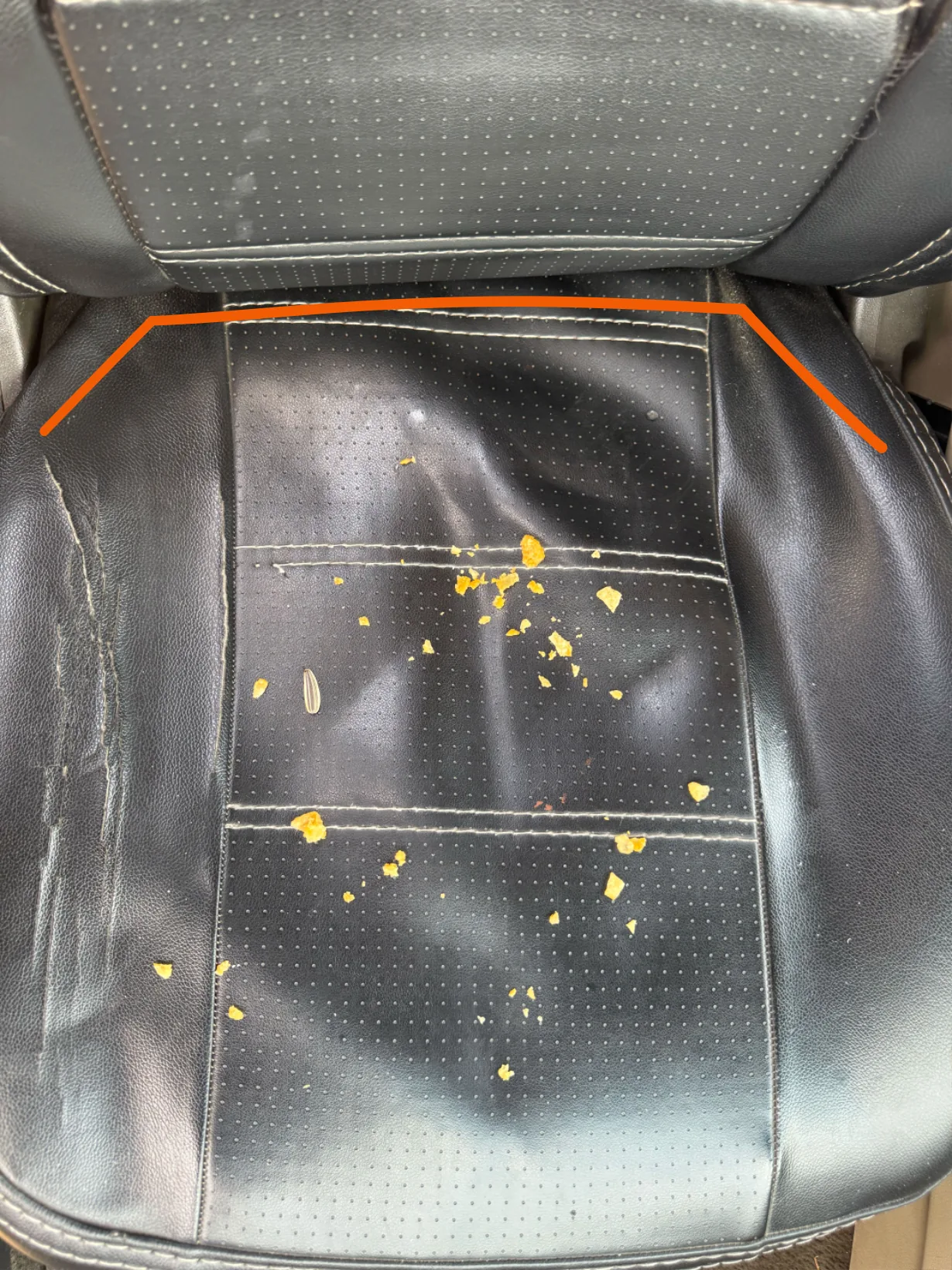 Driver seat with crumbs and dirt traced along its seams